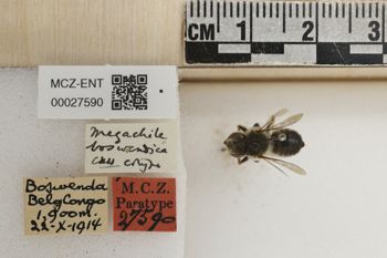 Media type: image;   Entomology 27590 Aspect: Labels